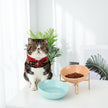 Elevated Pet Bowl with Shelf – Adjustable Cat & Dog Feeder (Blue, Orange, White | S/M)