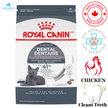 Royal Canin - Dental Care Adult Dry Cat Food