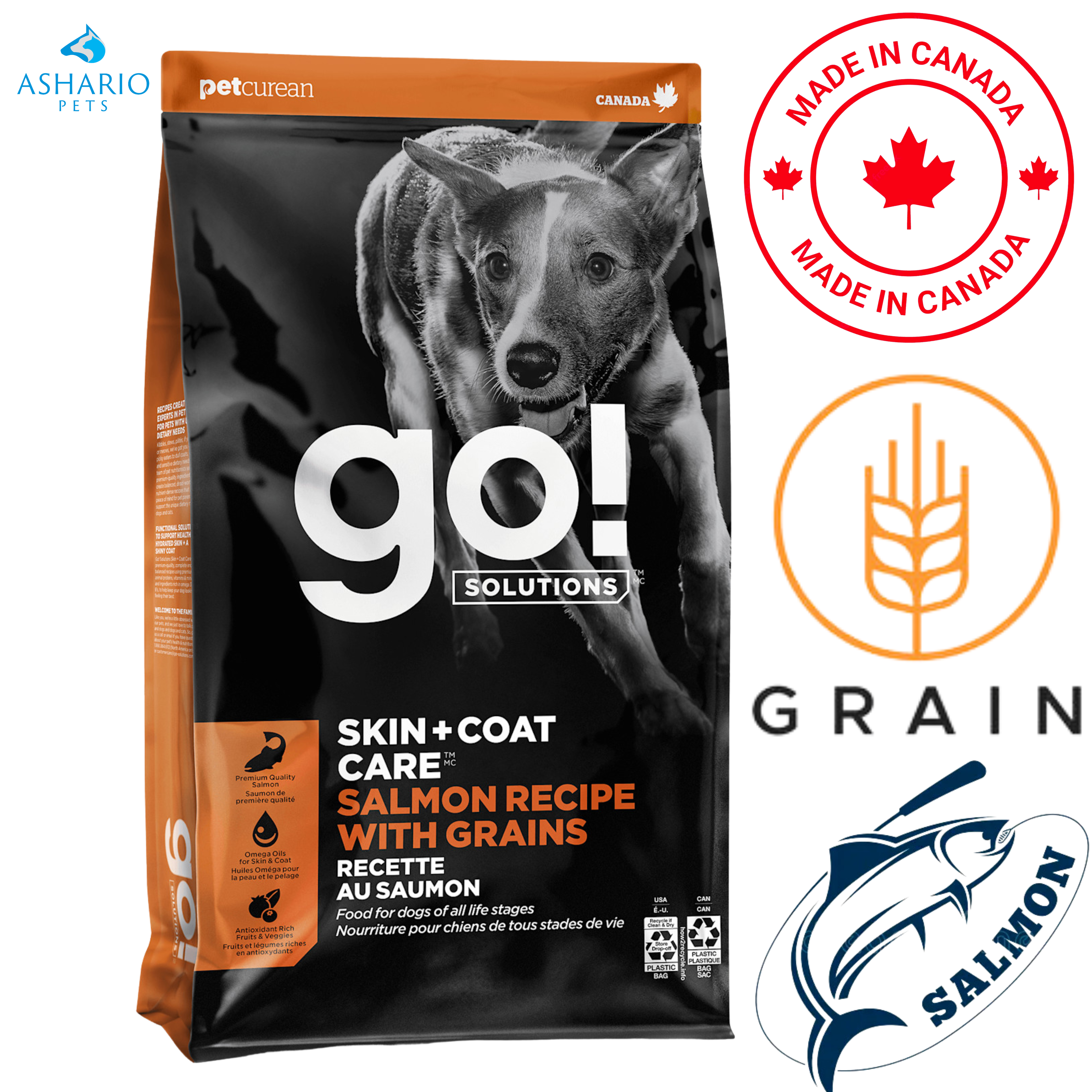Go! Solutions - Skin + Coat Care Salmon With Grains Dry Dog Food