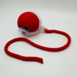 Pet Vibrating Bouncing Ball Toy with Tail