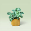 Corrugated 4