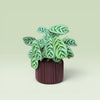 Corrugated 4