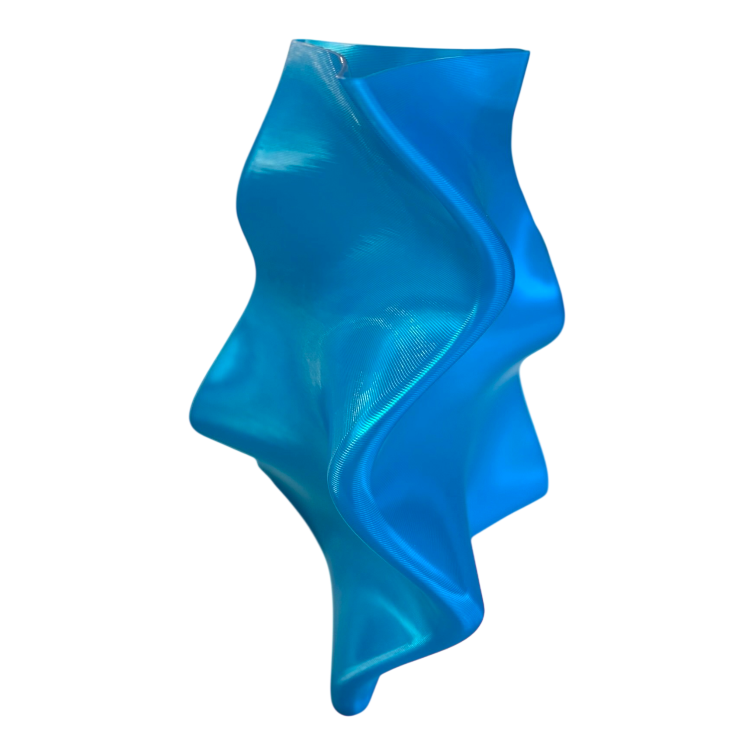 VASE. BULL KELP.