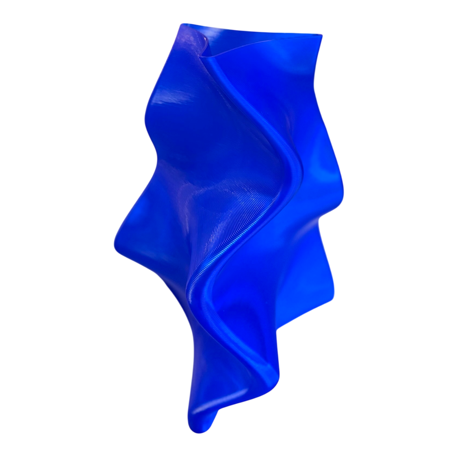 VASE. BULL KELP.