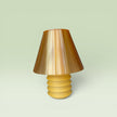 Classic Lamp Shade Set