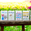 Seed Packages - All Occasion with Wildflowers