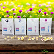 Seed Packages - All Occasion with Wildflowers