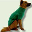 Green Sweater
