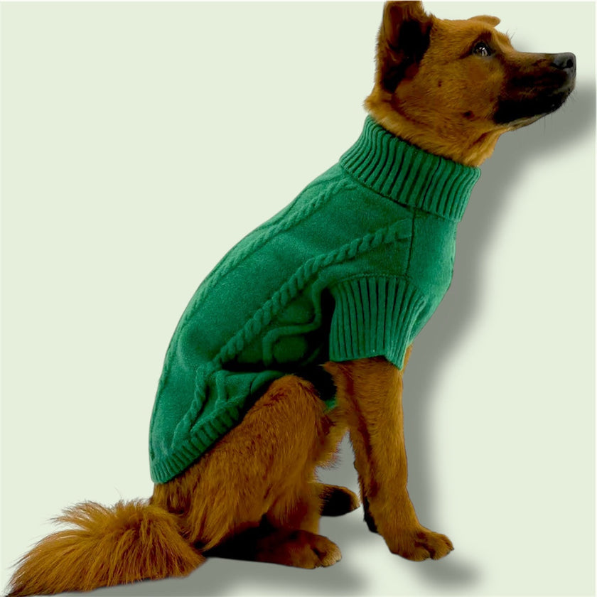 Green Sweater