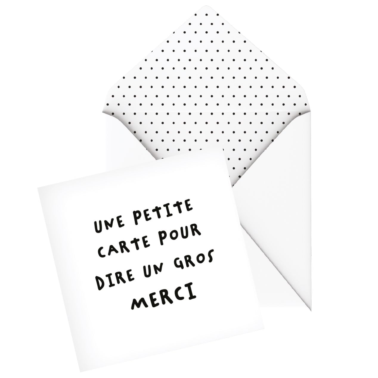 Pierre Belvedere - Card Ens. / 8 - Thank You (Blank)