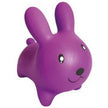 Pierre Belvedere - Jumping - Rabbit