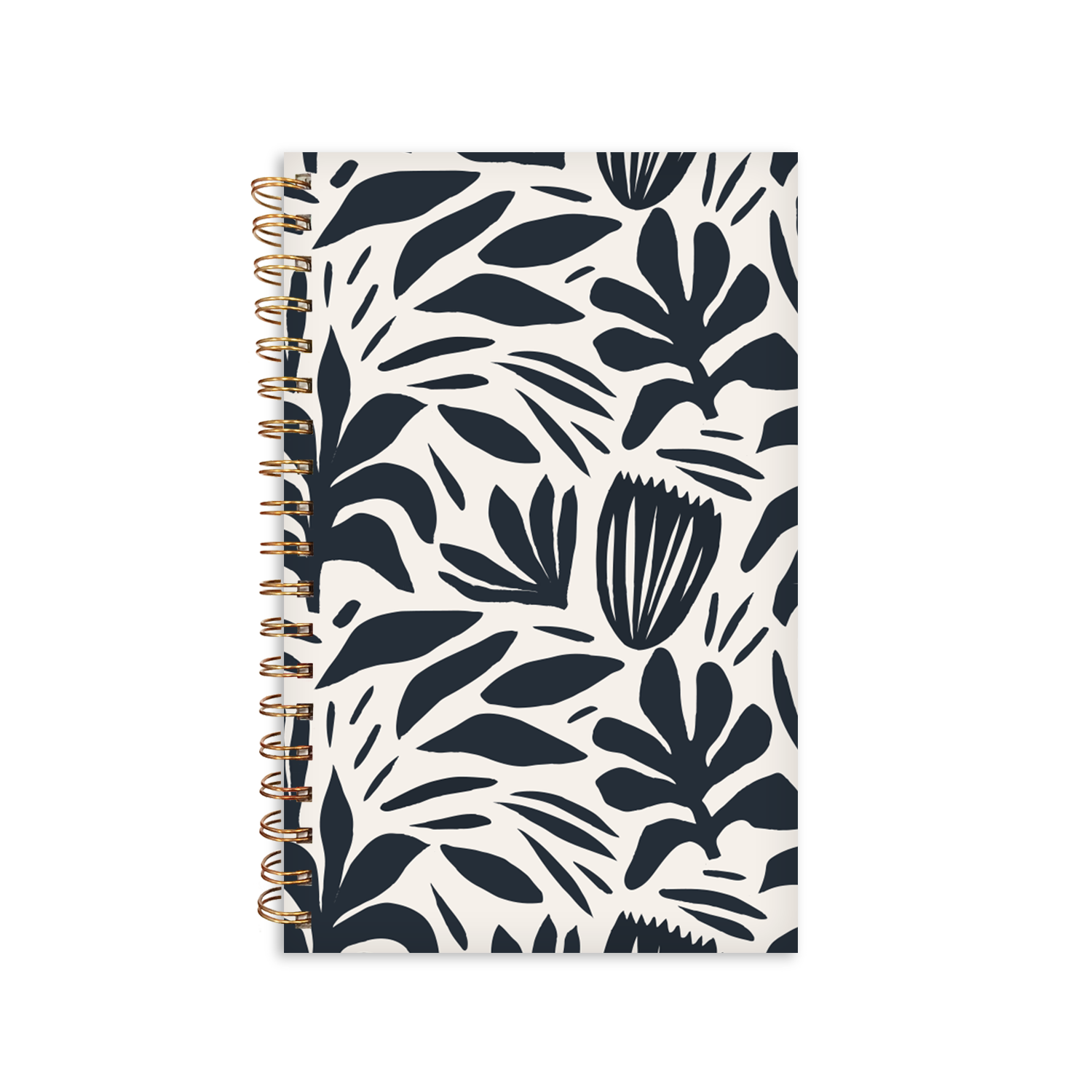 Pierre Belvedere - Notebook