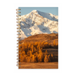 Pierre Belvedere - Notebook