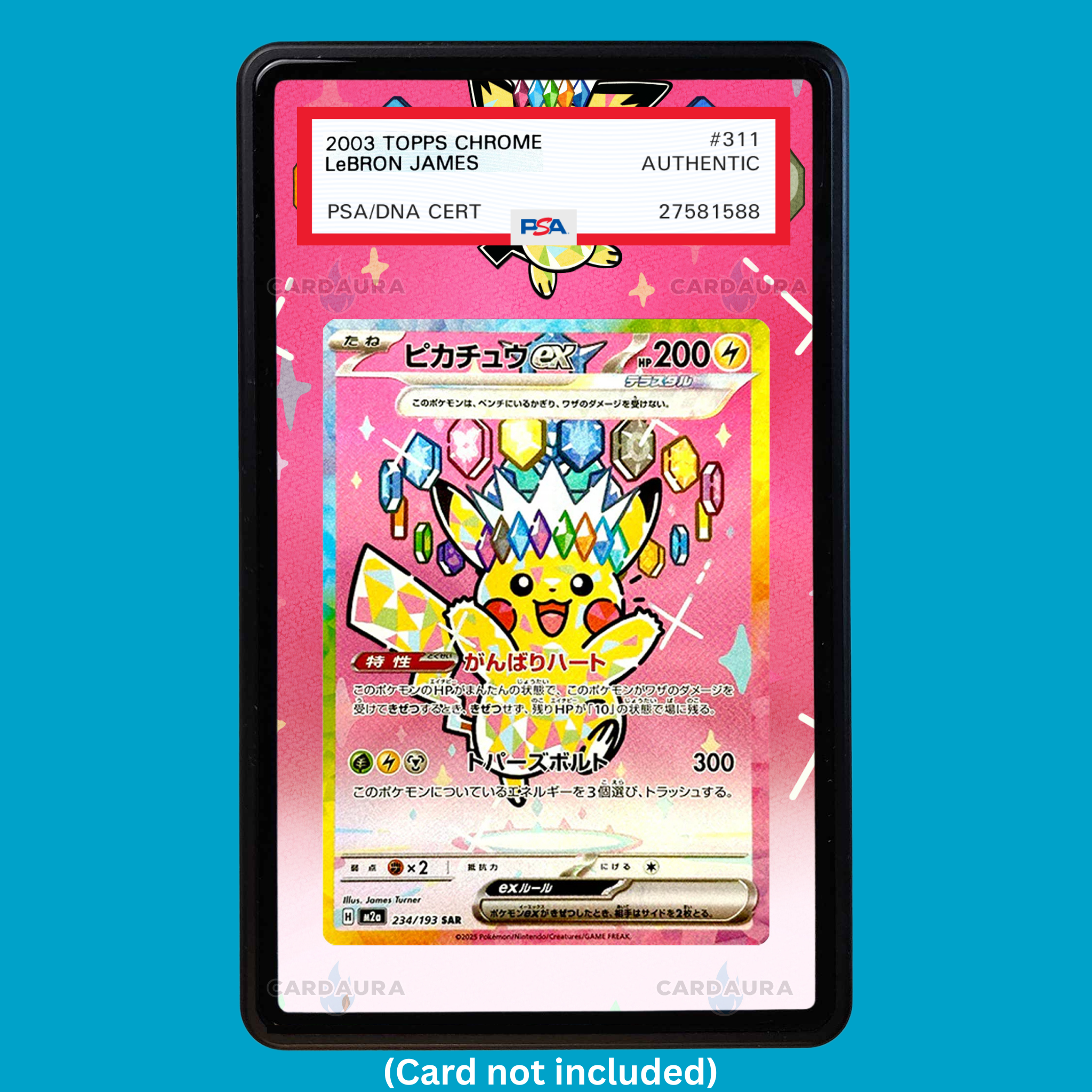 Pikachu EX 234/193 Ascended Heroes (Graded) Display Case