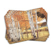 Pimpernel - Birch Beauty Mat 16X12