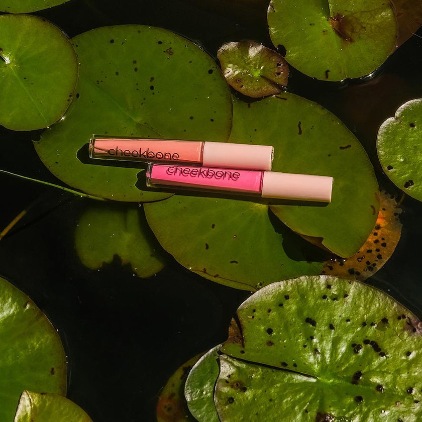 Harmony Lip Gloss