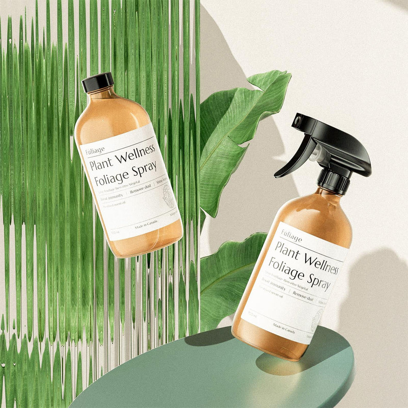 Plant Wellness Foliage Spray