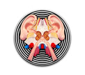 Auditory System Slipmat