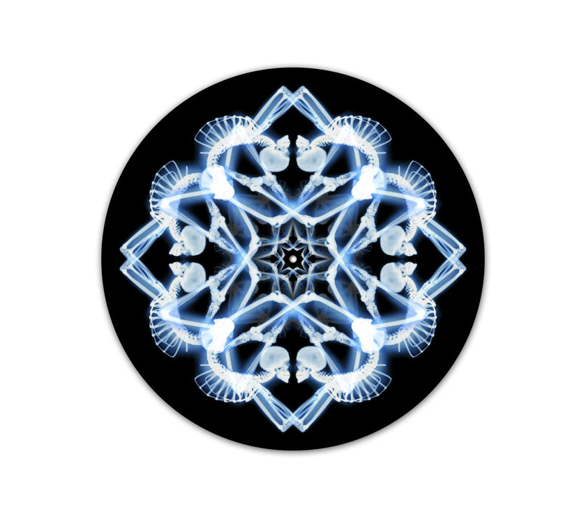 Skeleton Dance Slipmat