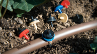 Hunter Point Source Drip Emitters