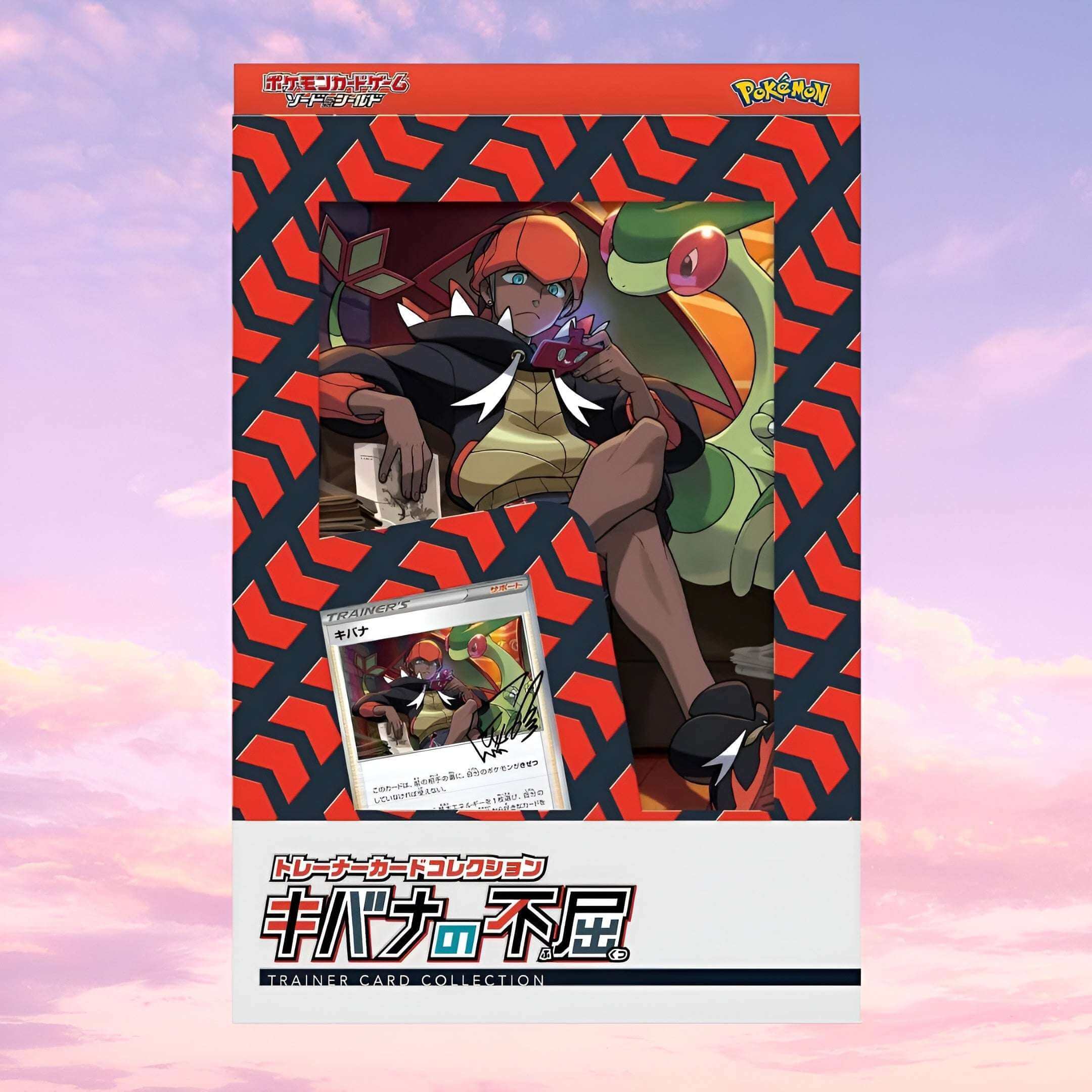 Pokemon Sword & Shield Raihan's Indomitableness Trainer Card Japanese Collection