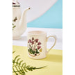 Portmeirion - Botanic Garden Coffee Mugs (Set of 6) | 9 oz