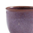Portmeirion - Minerals Mugs (Amethyst) | 12 oz