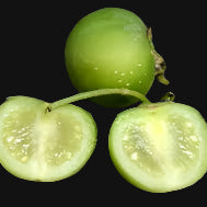 Potato Fruit Seeds