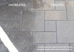 Stain-Proof Premium Waterborne Sealer | Oil Resistant