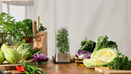 Prepara - Herb Savor Stainless Steel