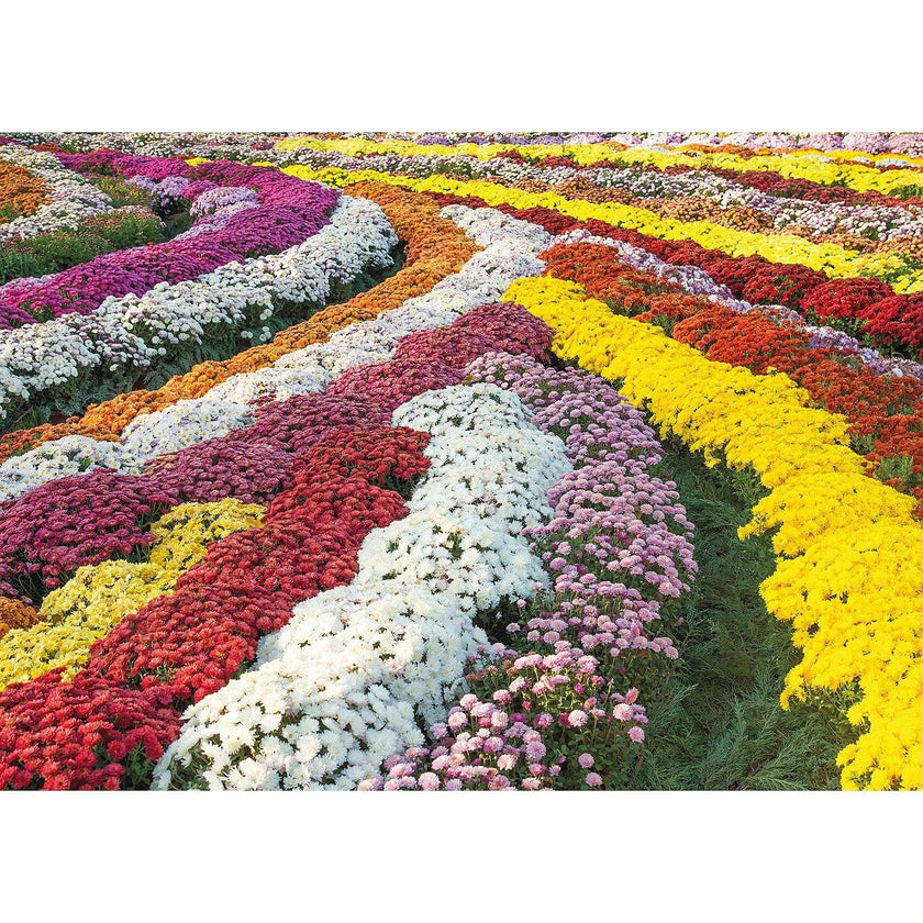 Prestige - Jardin de Chrysanthèmes (Jigsaw Puzzle 1000 pièces)