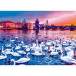 Prestige - Swans At Sunset (1000-Piece Puzzle)