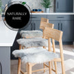 Shorn Grey Icelandic Sheepskin Chair Pad