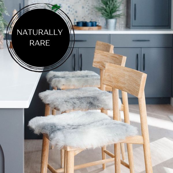 Shorn Grey Icelandic Sheepskin Chair Pad