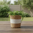 Banana Leaf and Rope Basket