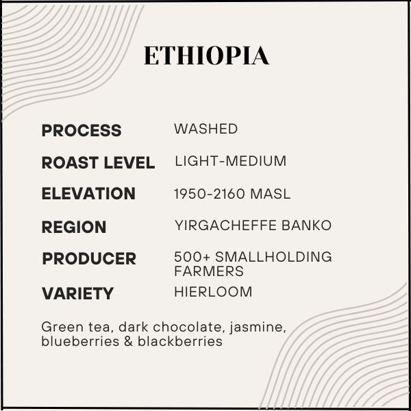 Proem - Ethiopia (Final Batch)