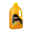 ITN Chaunsa Mango Juice