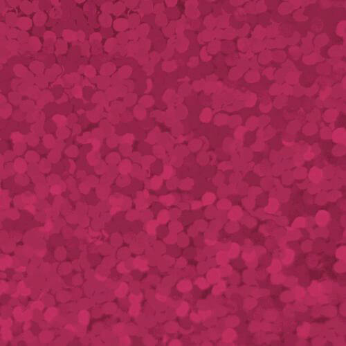 XVINYL Holographic Sparkle HTV - Heat Transfer Vinyl (Puschia), 12x10