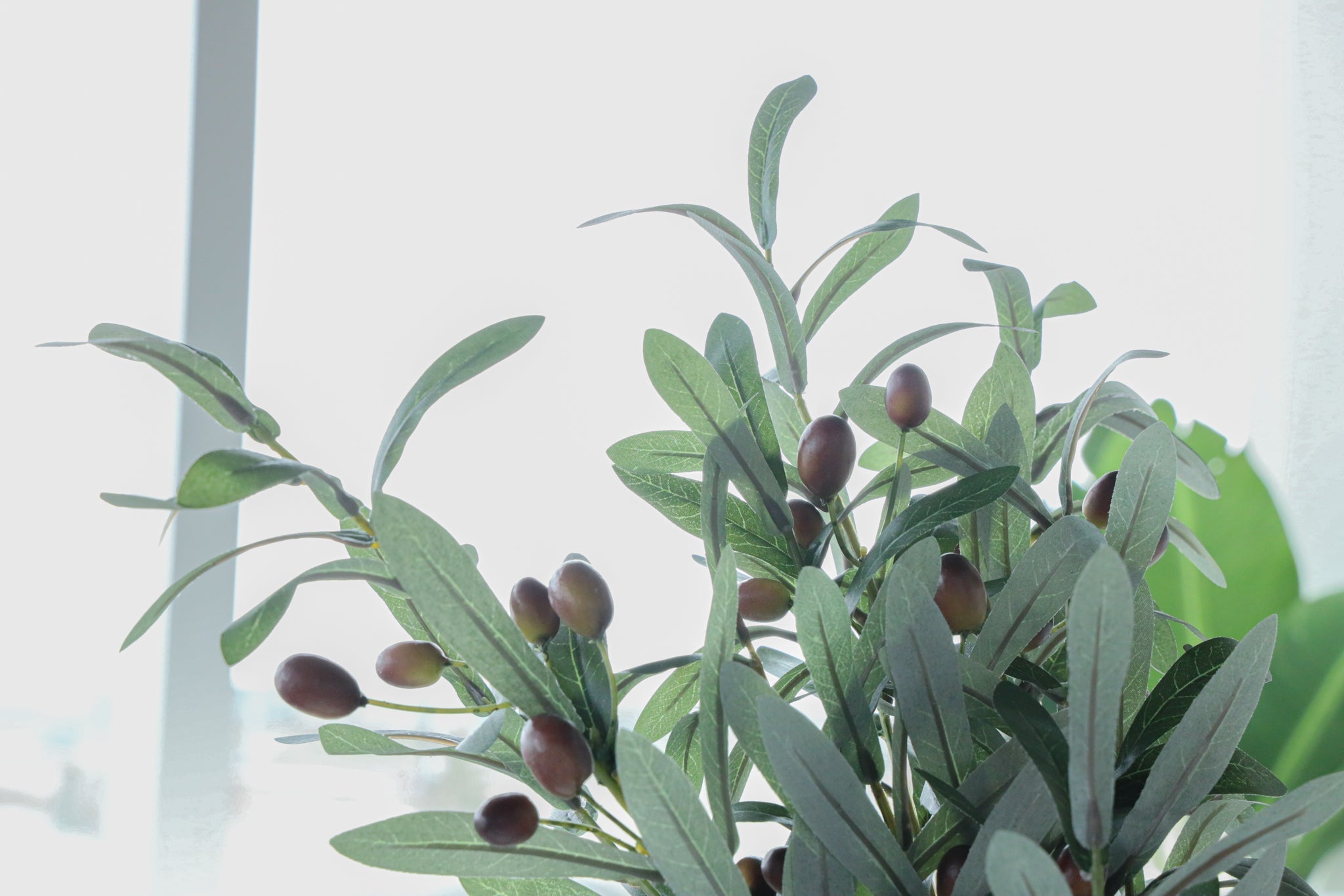 Valley Artificial Olive Stem Bouquet 30'' X 12'' (Set Of 3)