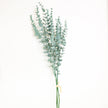 Montana Artificial Eucalyptus Bouquet 31'' X 8'' (Set Of 3)