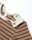 Ribbed Bodysuit, 2 Pack | Cedar Micro Stripe, Acorns | Quincy Mae