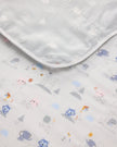 Muslin Quilt - Mini Mathletes