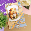 Quick Cards - Perfect Pets