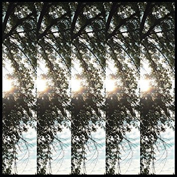 Pontiak / Dialectic Of Ignorance - LP