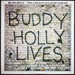 Buddy Holly + The Crickets / 20 Golden Greats - LP USED