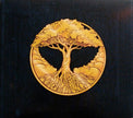 Bears Of Legend / A Million Lives - LP CLEAR NO 7'' Used