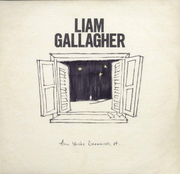 Liam Gallagher ‎/ All You're Dreaming Of... - LP WHITE 12