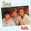 Joy / Hello - LP USED