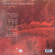 Robert Plant & Alison Krauss / Raise The Roof - LP