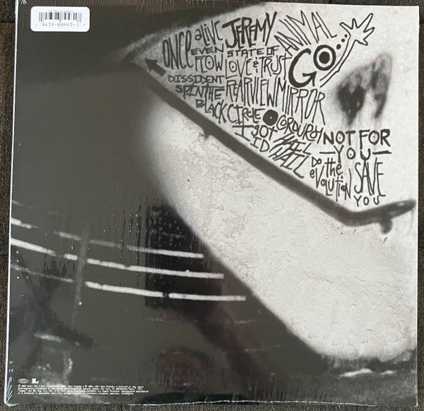 Pearl Jam / Rearviewmirror (Greatest Hits 1991-2003: Volume 1) - 2LP COLOR